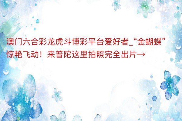澳门六合彩龙虎斗博彩平台爱好者_“金蝴蝶”惊艳飞动！来普陀这里拍照完全出片→